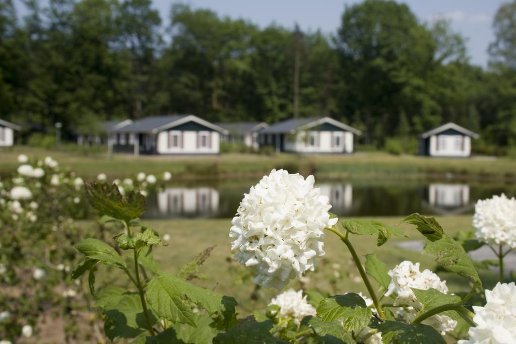 Buitenplaats Gerner Dalfsen Exterior photo
